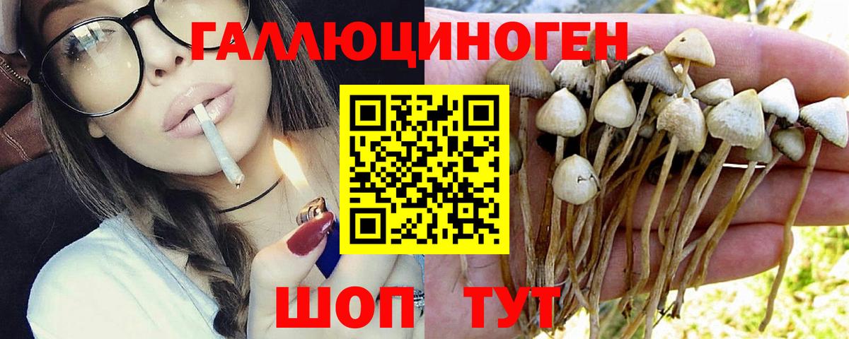 Галлюциногенные грибы прущие грибы Мариинск