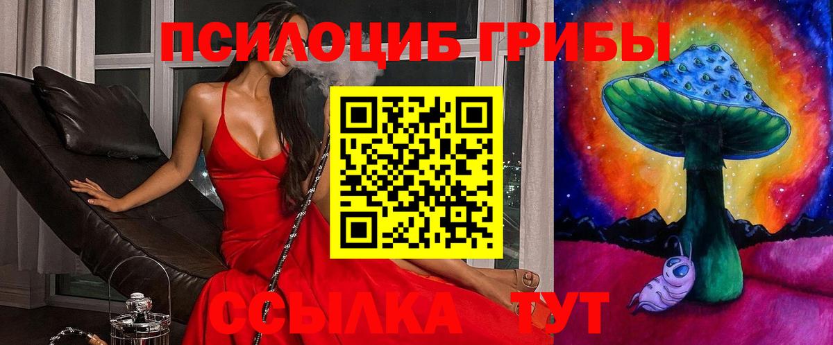 Галлюциногенные грибы Psilocybine cubensis  Вход с VPN  купить   Псилоцибиновые грибы Psilocybine cubensis  Мариинск 